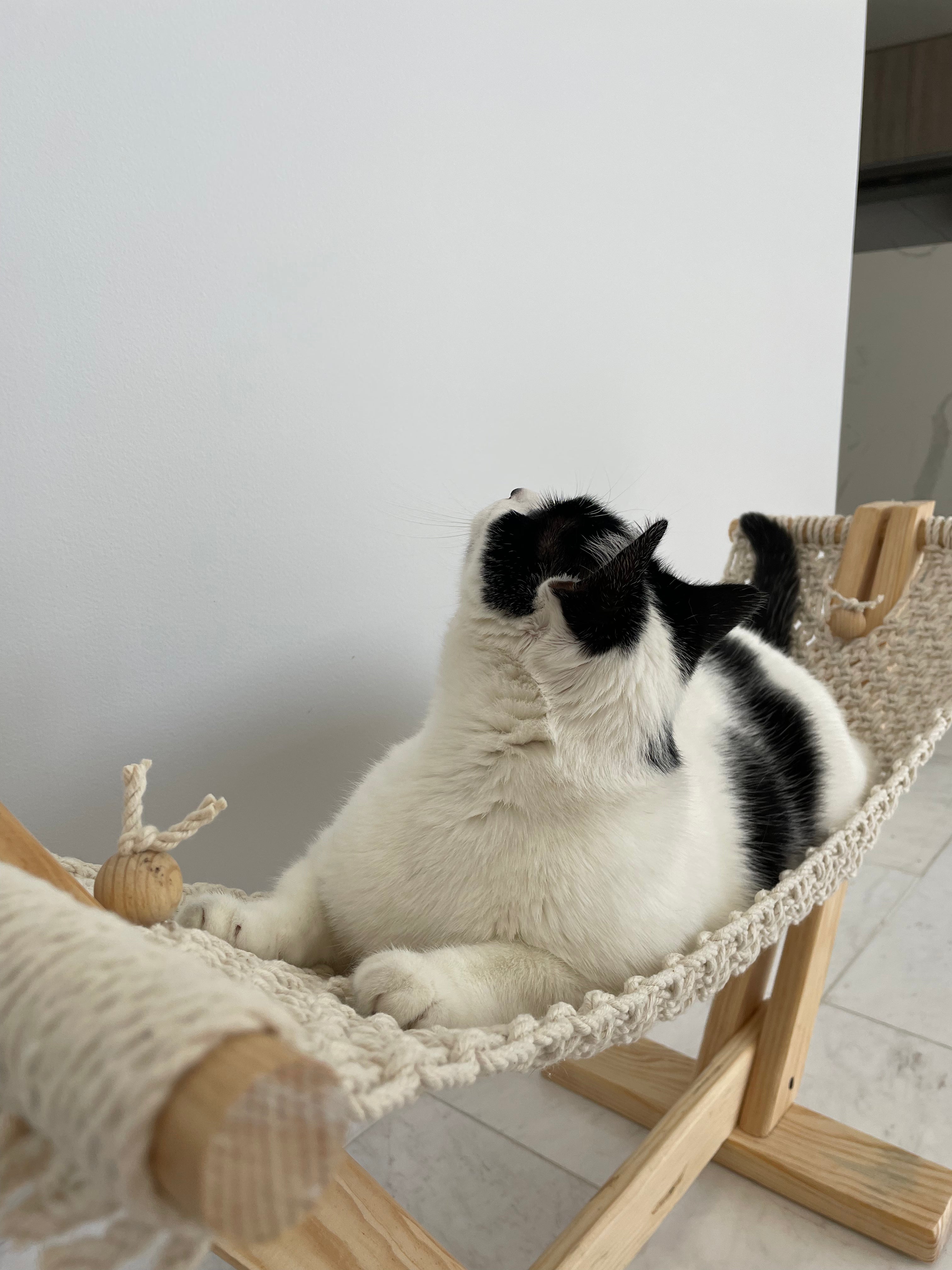 Luxurious Cat Hammock | Handmade Ergonomic Pet Bed